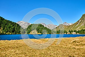 Lake Cavloc, Engadine, Swiss Alps