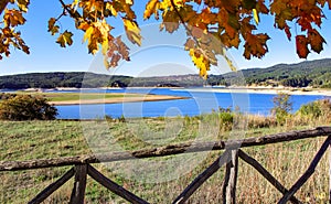 Lake of Cecita, Sila National Park. photo