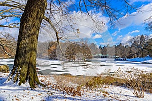 Lake in the Central Park of New York City in winter scenery, USA
