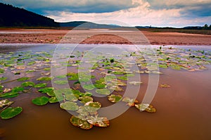 Lake Cerknica,Slovenia