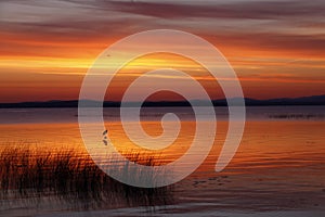 Lake Champlain Dramatic Sunrise photo