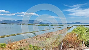 Lake Chapala is Mexico`s largest freshwater lake. photo