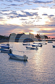 Lake Chapala Sunrise on Malecon