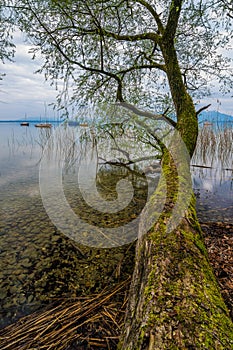 Lake Chiemsee at dusk