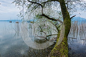 Lake Chiemsee at dusk