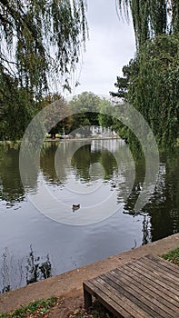 Lake Chios in Central Park Cluj-Napoca