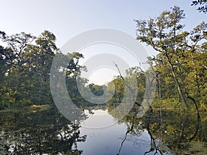 Lake in Chitwan NP