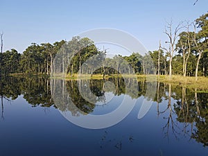 Lake in Chitwan NP