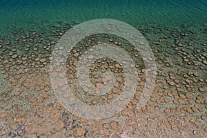 Lake Clifton Thrombolites in Western Australia