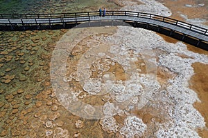 Lake Clifton Thrombolites in Western Australia