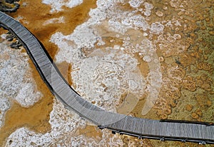 Lake Clifton Thrombolites in Western Australia