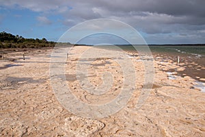 Lake Clifton Thrombolites, Western Australia