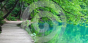 Lake coast in Croatian nature park Plitvice Lakes with tree branches, bench and wooden walkway