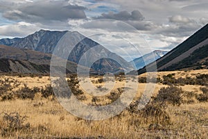 Lake Coleridge High Country