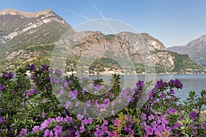 Lake of Como