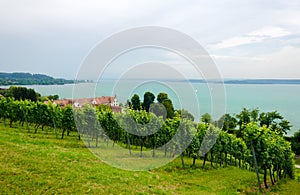 Lake Constance photo