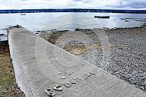 Lake constance in germany in fall