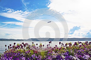 Lake Constance in spring