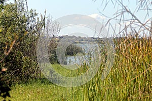 Lake Corpus Christi State Park, Texas