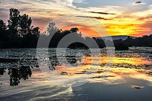 Lake cove after sunset with water lily . Silhouette of trees. Colorful sky with clouds in red yellow. Mirror reflection.