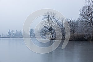 Lake covered with the dense fog near the forest with bare trees