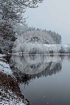 Lake covered with fresh snow.Winter pond,foggy cloudy landscape reflected in water,snowing day.White misty countryside snowy trees