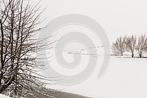 The lake is covered with snow