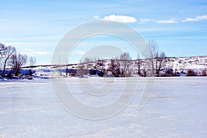 Lake covered with snow, willow trees without leaves along, winter landscape