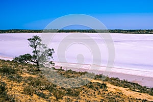 Lake Crosbie - pink lake in Murray-Sunset N.P.