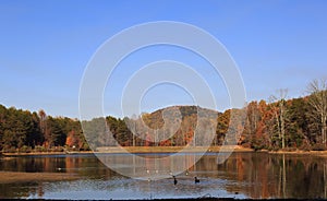 Lake and Mountain in Autumn