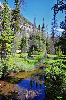 Lake Cuberant hiking trail views of ponds, forest and meadows around Bald Mountain Mount Marsell in Uinta Mountains from Pass Lake