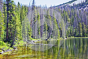 Lake Cuberant hiking trail views of ponds, forest and meadows around Bald Mountain Mount Marsell in Uinta Mountains from Pass Lake