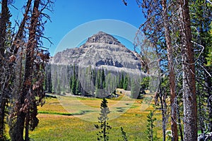 Lake Cuberant hiking trail views of ponds, forest and meadows with Bald Mountain Mount Marsell in Uinta Mountains from Pass Lake T