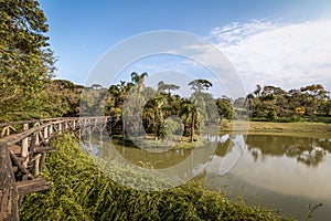 Lake at Curitiba Botanical Garden - Curitiba, Parana, Brazil