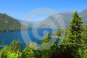 Lake Cushman Cove in Summer