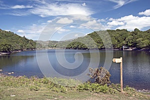 Lake Cynwch, Wales.