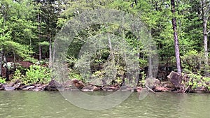 Lake Dardanelle, New Blaine, Arkansas, shore and forest in springtime