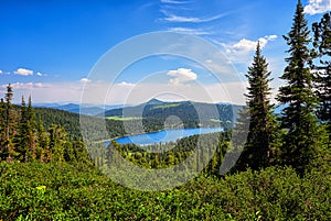 Lake in dark coniferous taiga. Nature Park Ergaki.