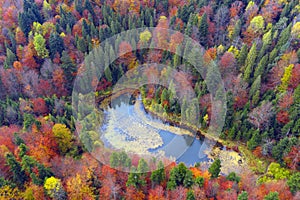 Lake Dead Polyanytske in autumn