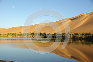 Lake in the desert, Libya