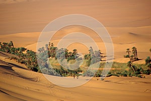 Lake in the desert of Libya
