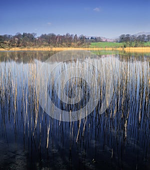 Lake district