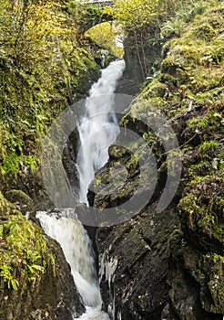 Lake District - Aira Force Waterfalls