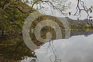 Lake District, Cumbria - autumnal forest around a lake.