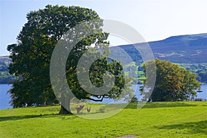 Lake District, English countryside, UK