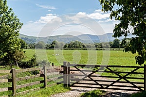 Lake District field.