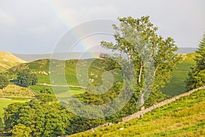 Lake District Rainbow Landscape