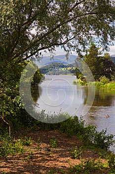 Lake District Summer time with mountains and trees