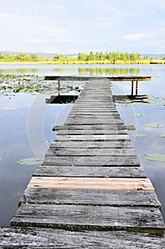 Lake, dock and water lilies