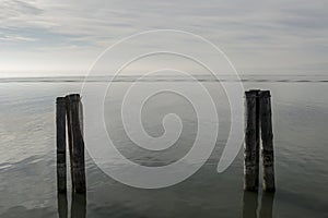 Lake dock wooden poles after the morning fog